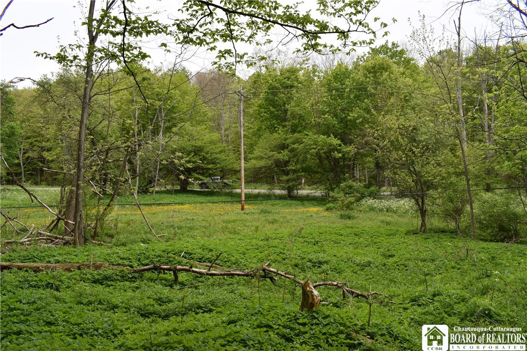 0 Harris Hollow Road Gerry, NY 14740 - Photo 5 of 23