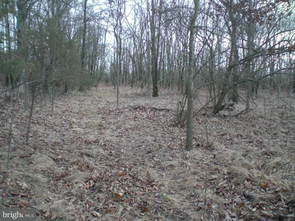660 Shrivers Corner Road Gettysburg, PA 17325 - Photo 1 of 10 Gallery Image 1