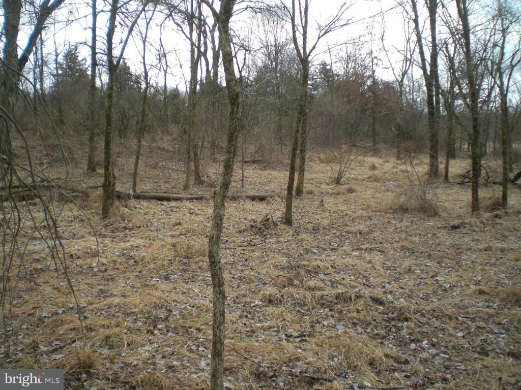 660 Shrivers Corner Road Gettysburg, PA 17325 - Photo 7 of 10 Gallery Image 7