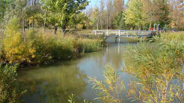 310 South Loree Road Carsonville, MI 48419 - Photo 1 of 6 31121027.JPG