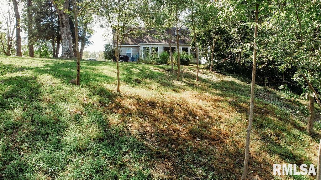 16480 East Cherokee Road Cuba, IL 61427 - Photo 6 of 43