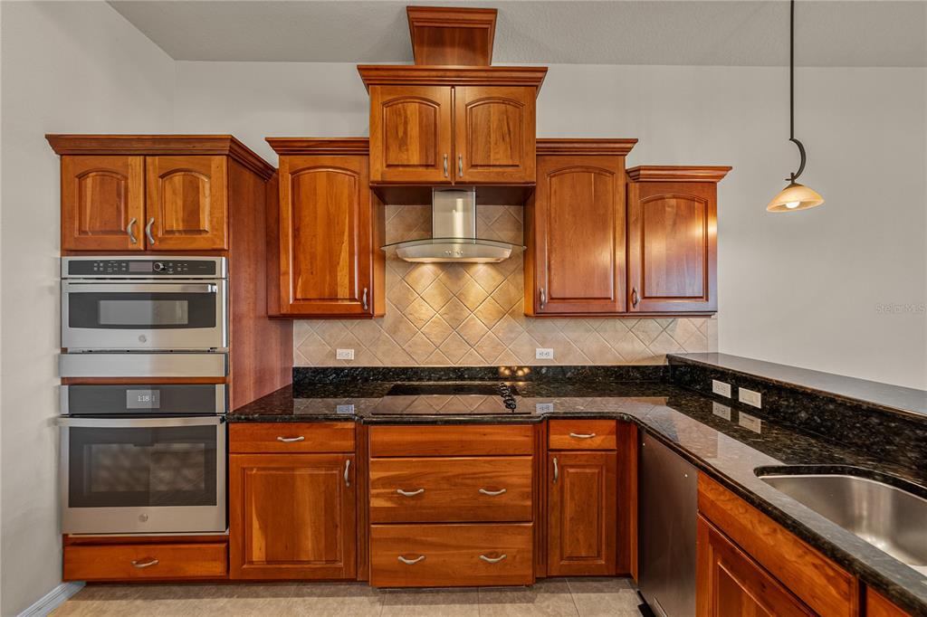 34321 Sahalee Loop Dade City, FL 33525 - Photo 20 of 94