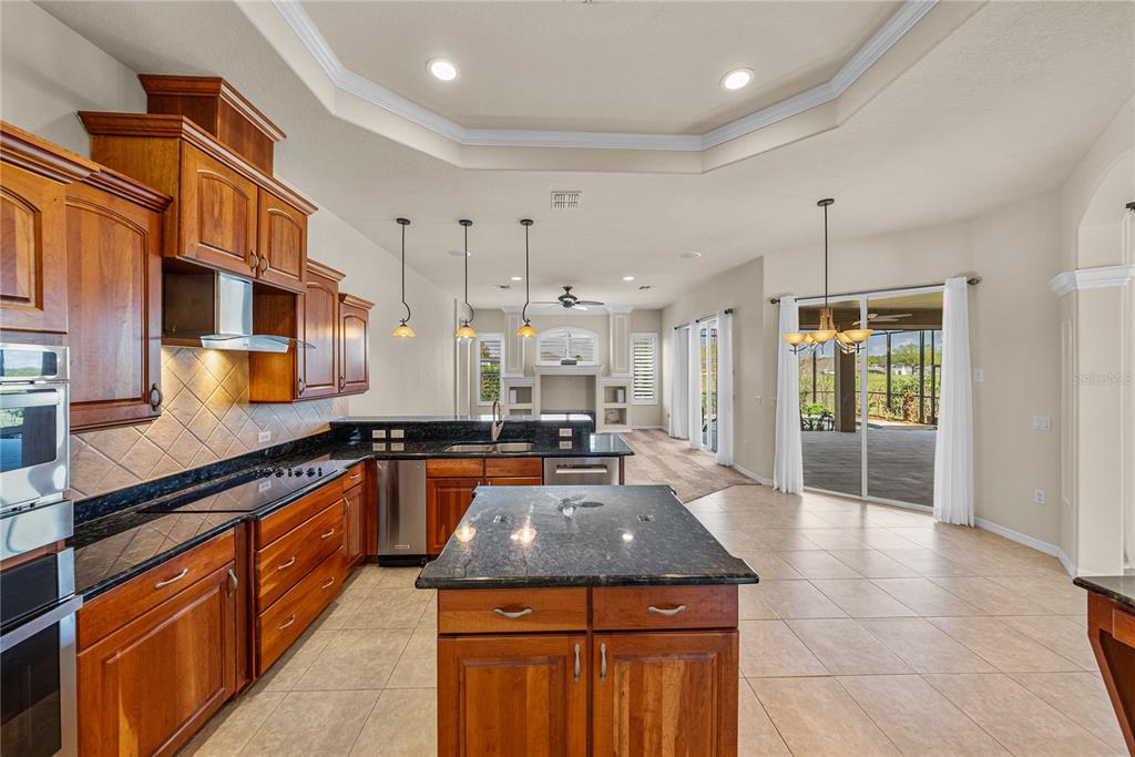 34321 Sahalee Loop Dade City, FL 33525 - Photo 25 of 94