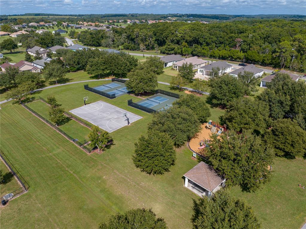 34321 Sahalee Loop Dade City, FL 33525 - Photo 90 of 94