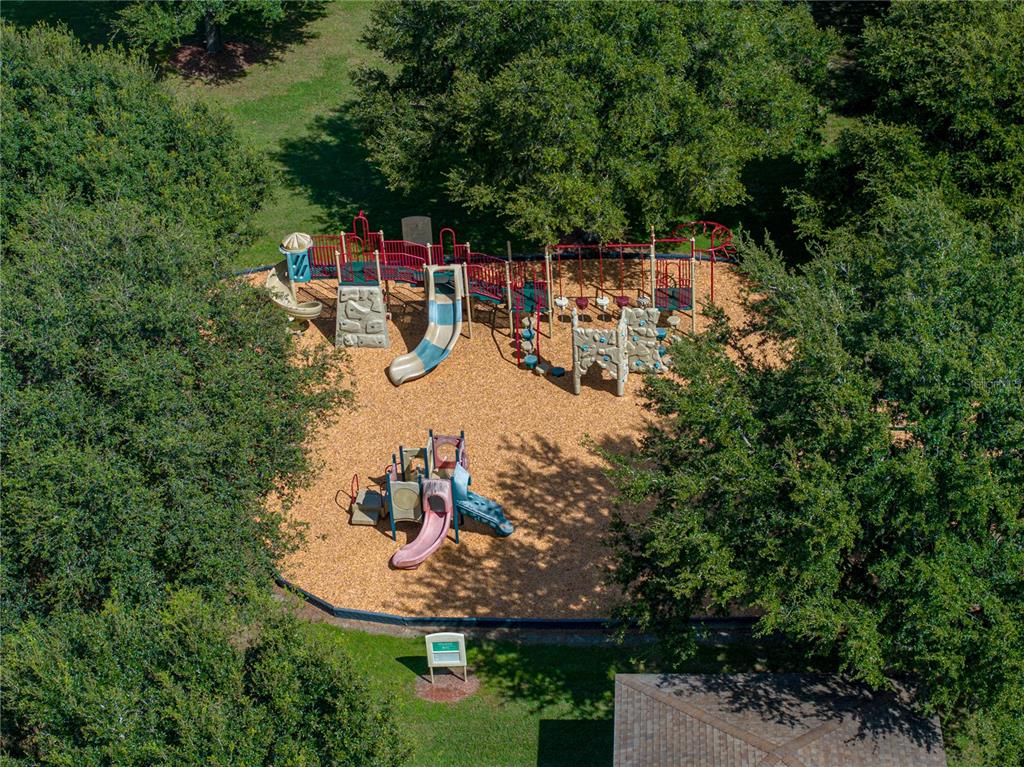 34321 Sahalee Loop Dade City, FL 33525 - Photo 92 of 94