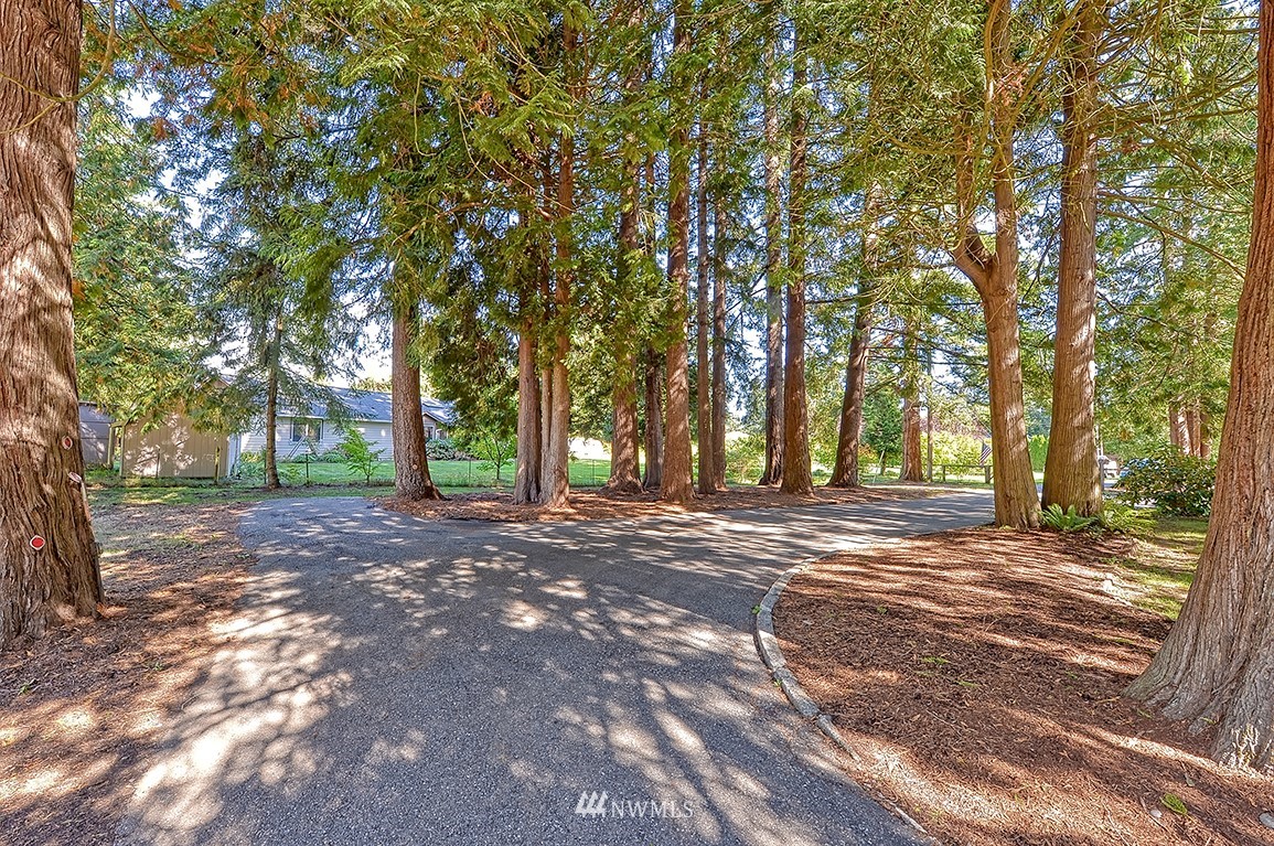 1177 West Axton Road Ferndale, WA 98248 - Photo 11 of 31 a view of a backyard with large trees