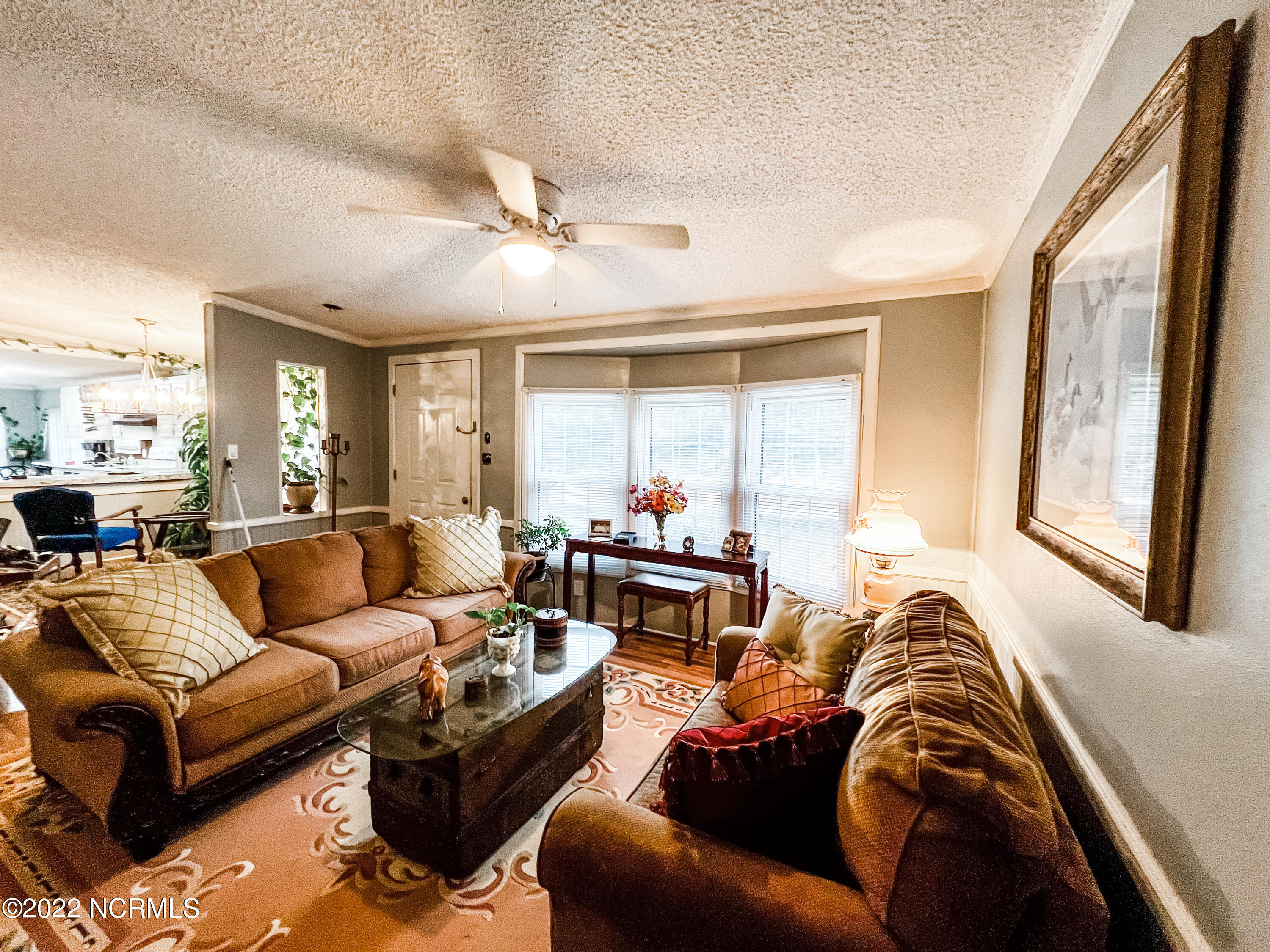 4 Mary Shearin Road Littleton, NC 27850 - Photo 12 of 27 Living Room view 1