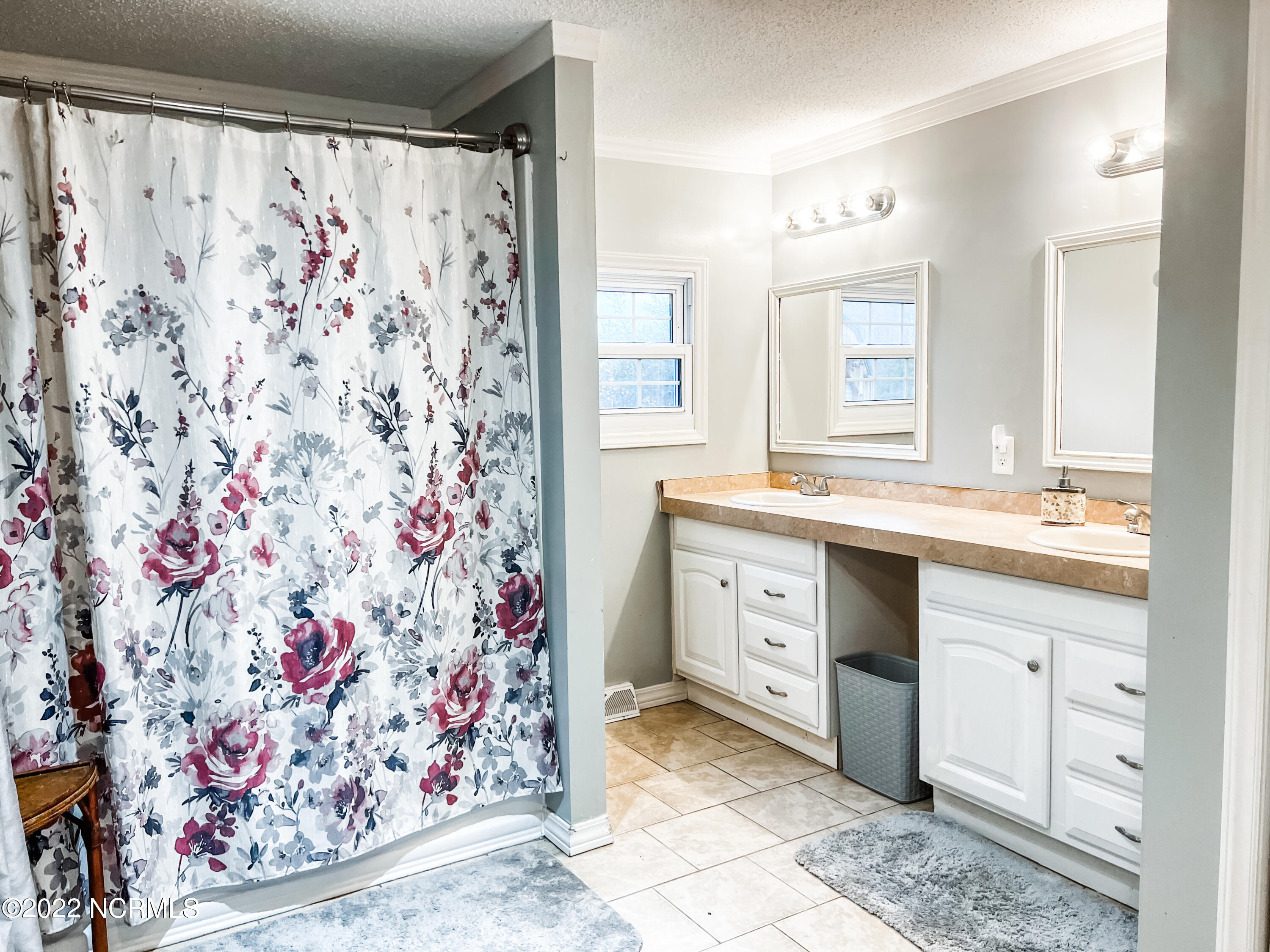 4 Mary Shearin Road Littleton, NC 27850 - Photo 17 of 27 Master Bathroom / Double Vanities & Cabinets