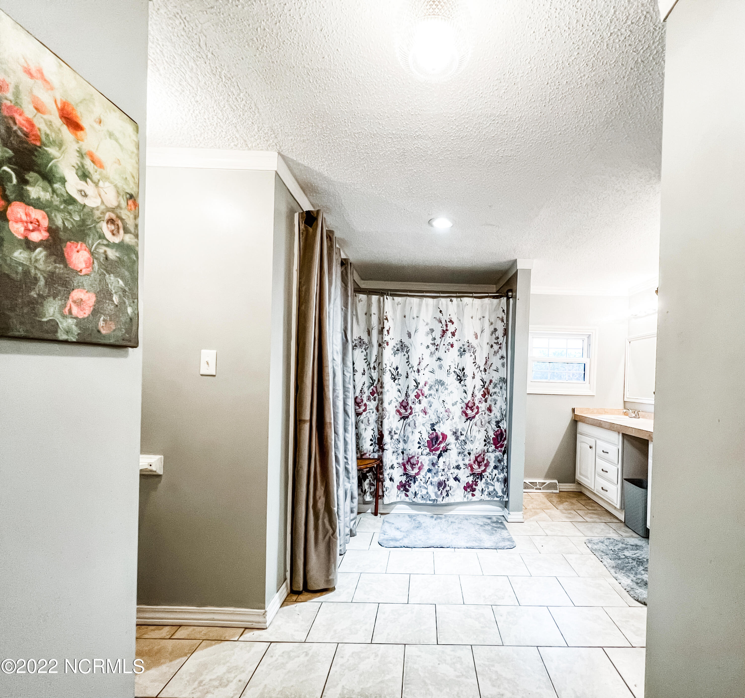 4 Mary Shearin Road Littleton, NC 27850 - Photo 18 of 27 Master Bath / with Tub