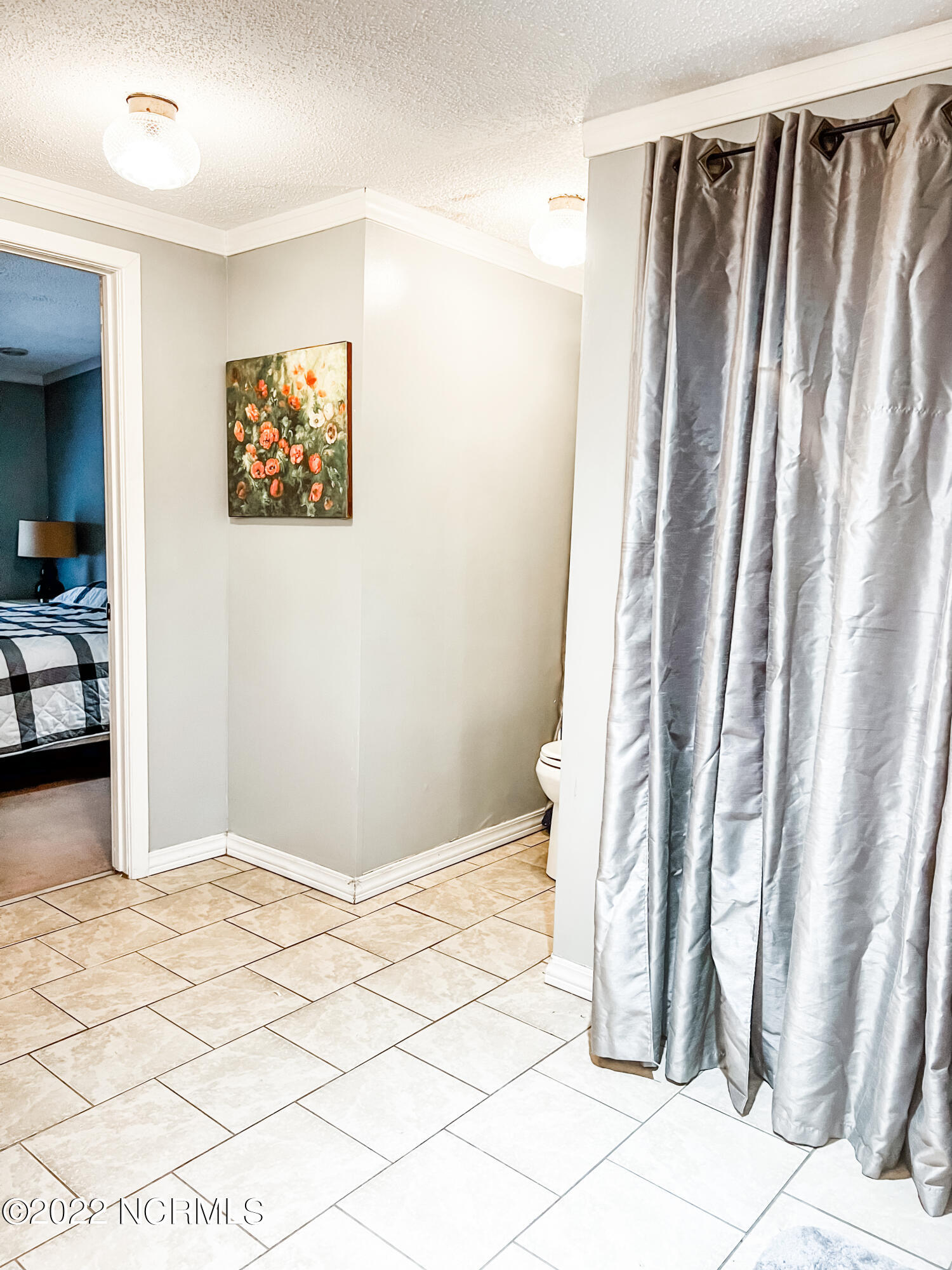 4 Mary Shearin Road Littleton, NC 27850 - Photo 19 of 27 Master Bath / Separate Shower