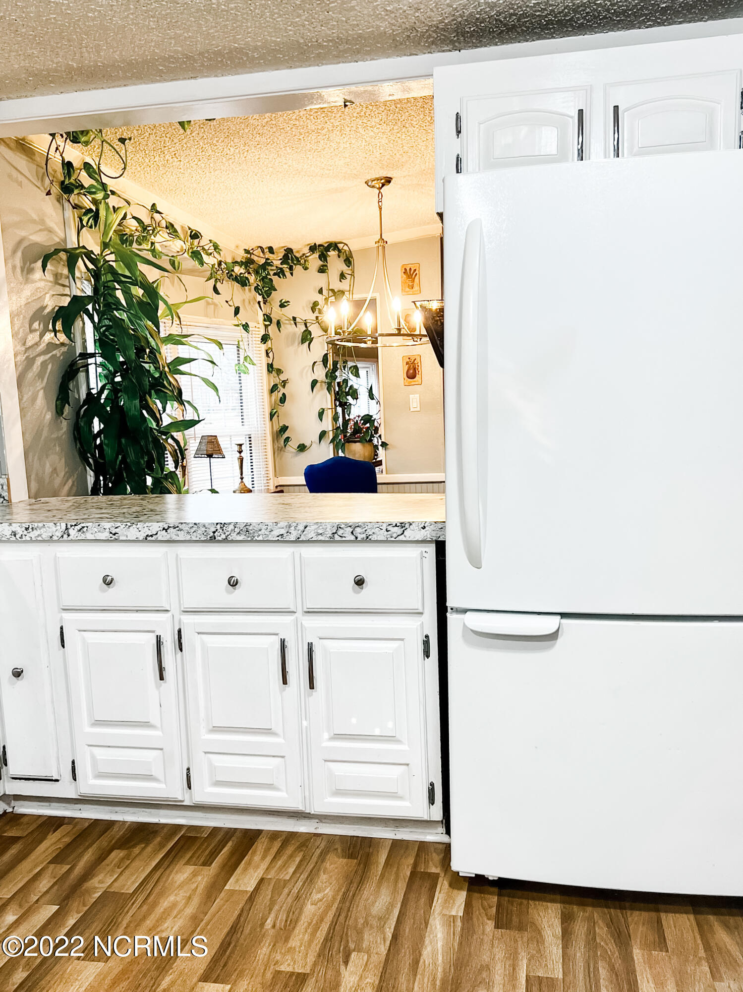 4 Mary Shearin Road Littleton, NC 27850 - Photo 4 of 27 Kitchen view 3