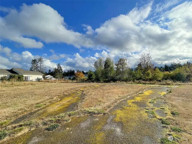 a view of lake view with large trees