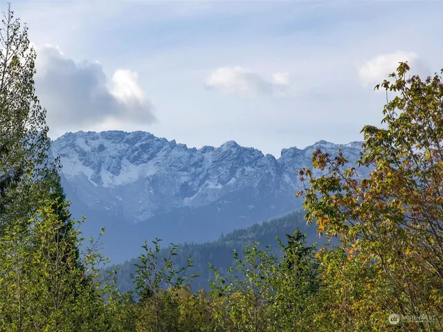 an aerial view of mountain and tree covered with fog
