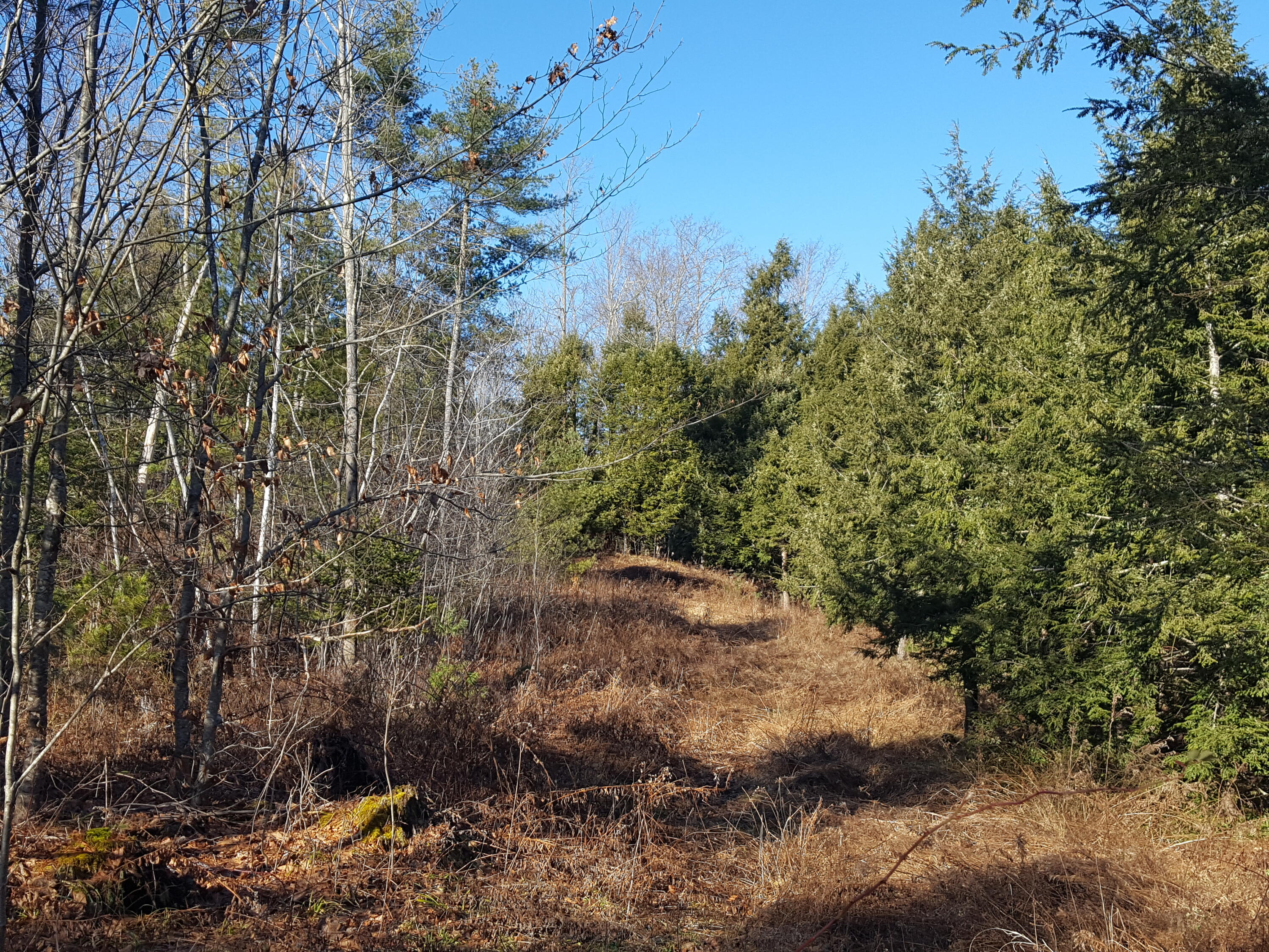 88 Mitchell Hill Road Gorham, ME 04038 - Photo 39 of 99 20231220_123123