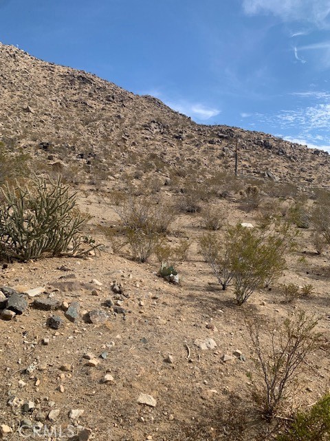 a view of a dry yard with mountains in the background