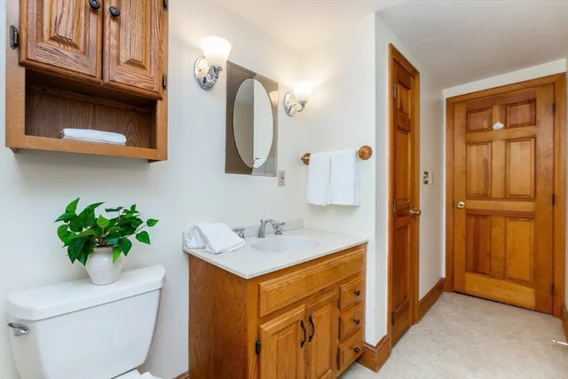 a bathroom with a sink a mirror and a toilet