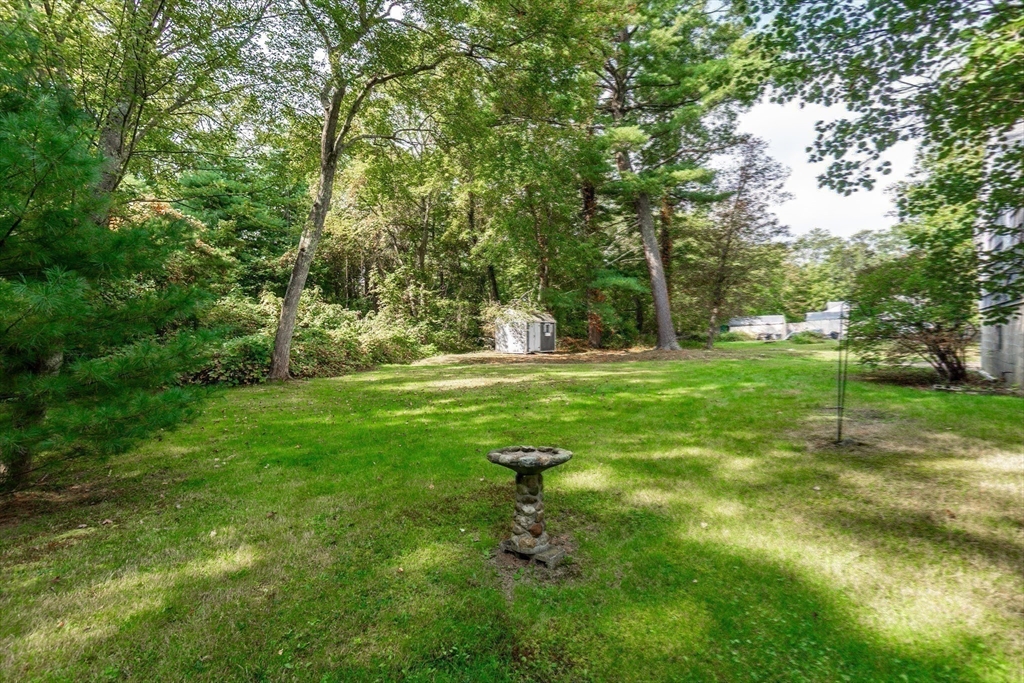 66 Depot Street Easton, MA 02375 - Photo 31 of 40 a backyard of a house with lots of green space