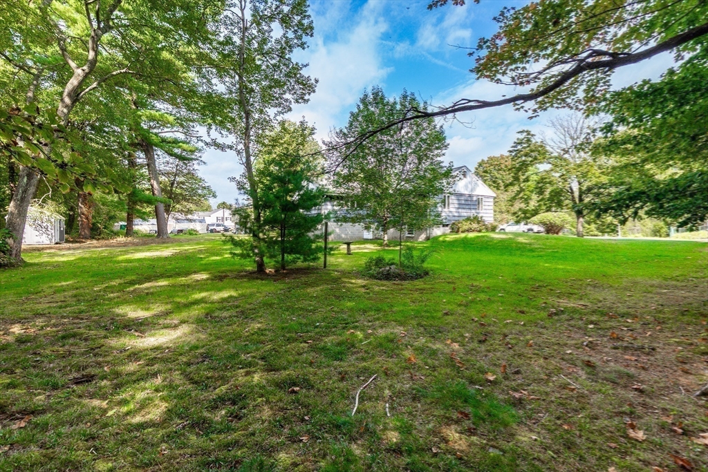 66 Depot Street Easton, MA 02375 - Photo 32 of 40 a view of a trees with a big yard