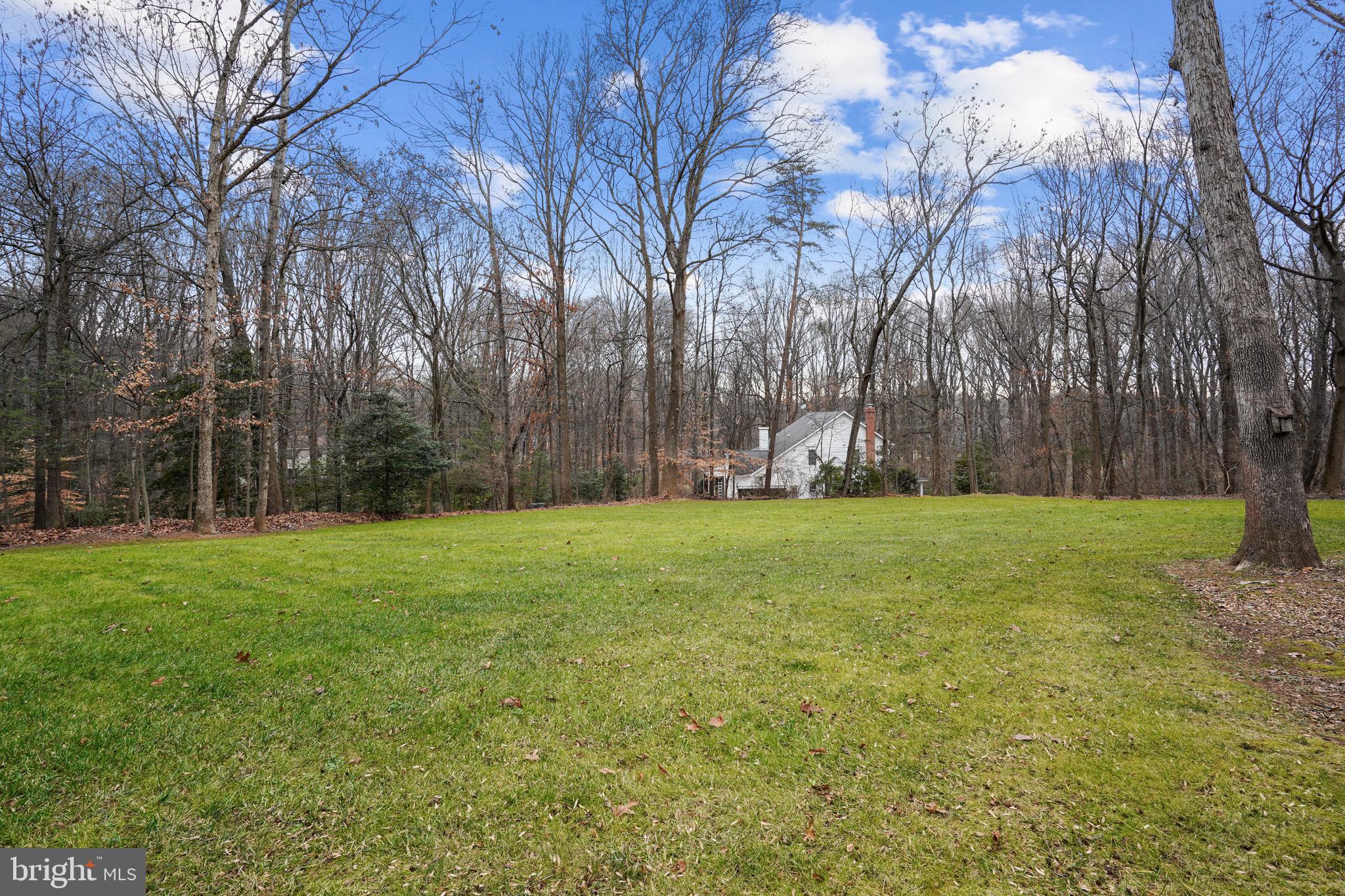 10412 Samaga Drive Oakton, VA 22124 - Photo 3 of 38 1 Acre lot with mature trees