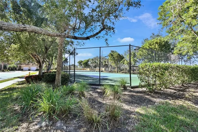 a view of a garden with a tree