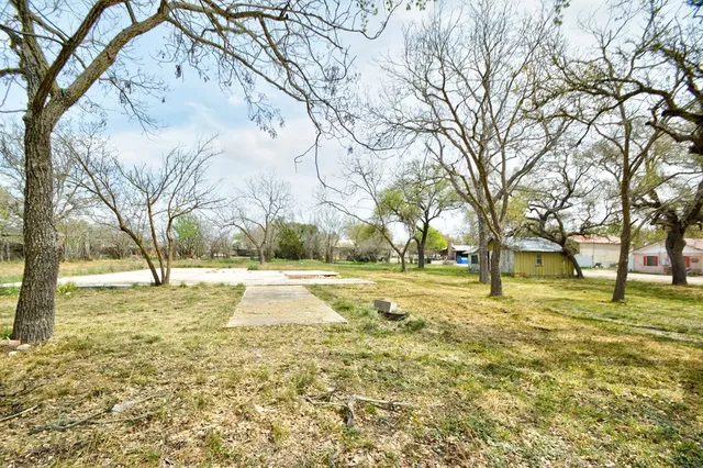 a view of yard with trees