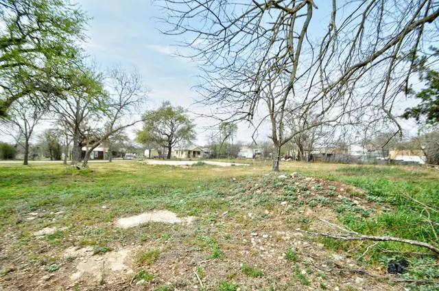 a view of big yard with large trees