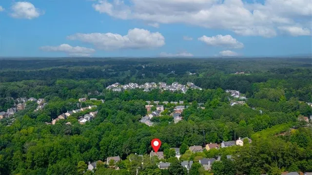 a view of a bunch of flowers and trees in the background