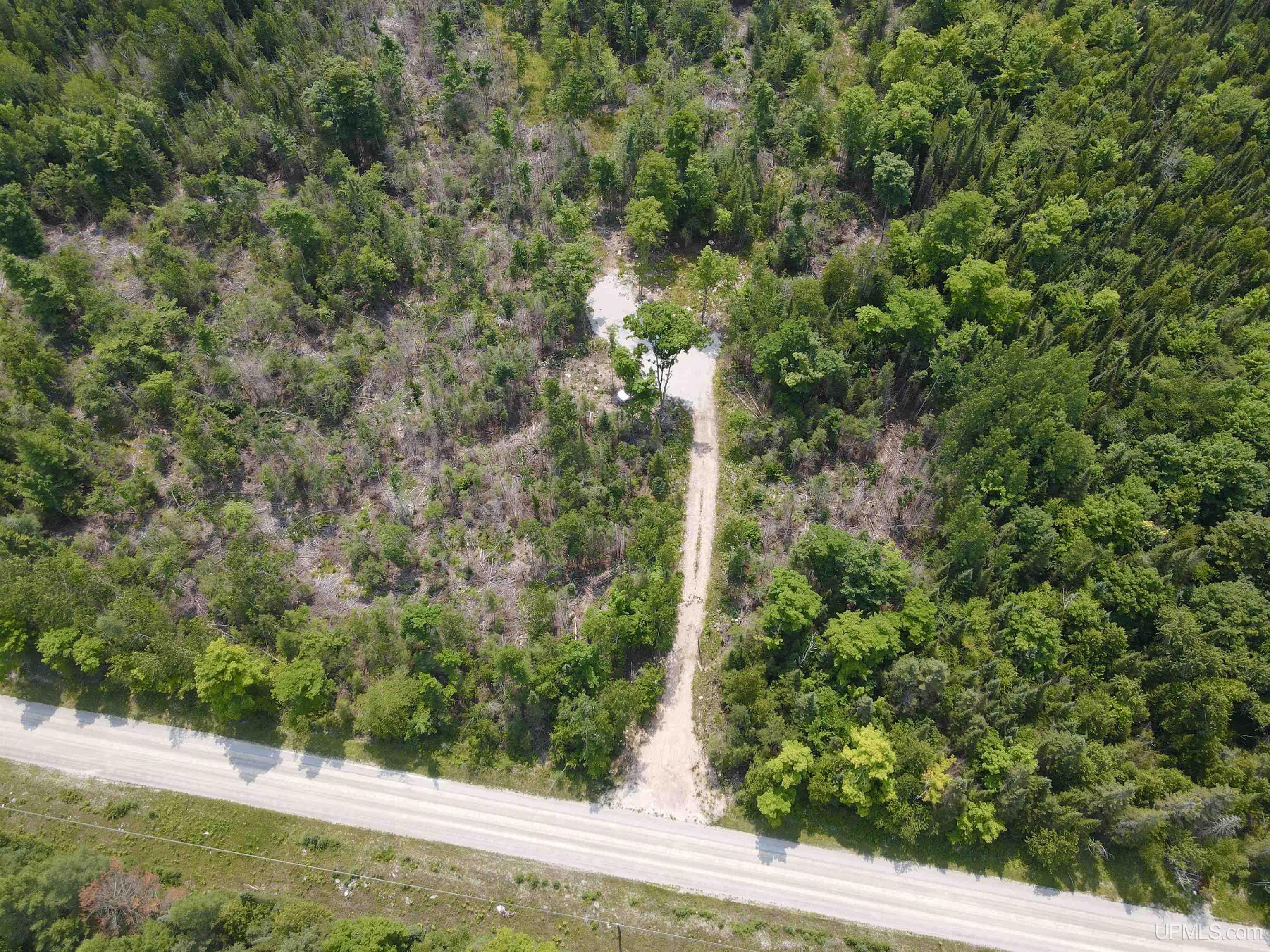 17461 17th Road Garden, MI 49835 - Photo 4 of 9