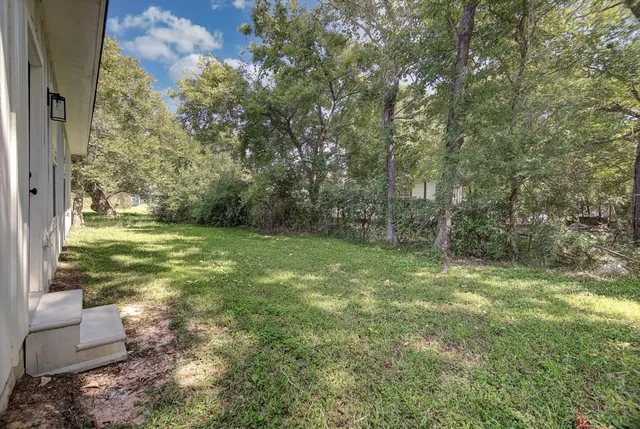 a view of a yard with large trees