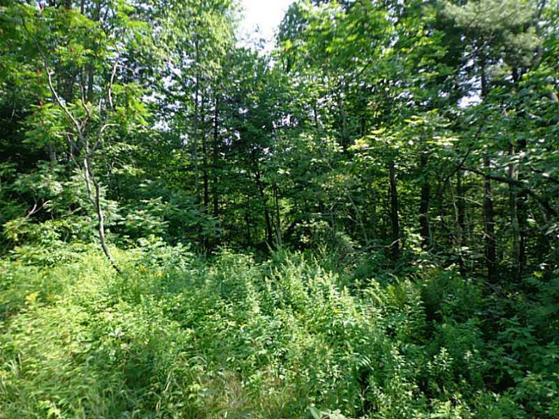 L9-1 Beans Corner Road Hartland, ME 04943 - Photo 1 of 6 Land/Lot. Harvestable wood, hunting...