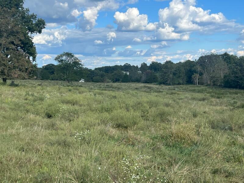 0 South Outer Road Mansfield, MO 65704 - Photo 1 of 1 4 acres