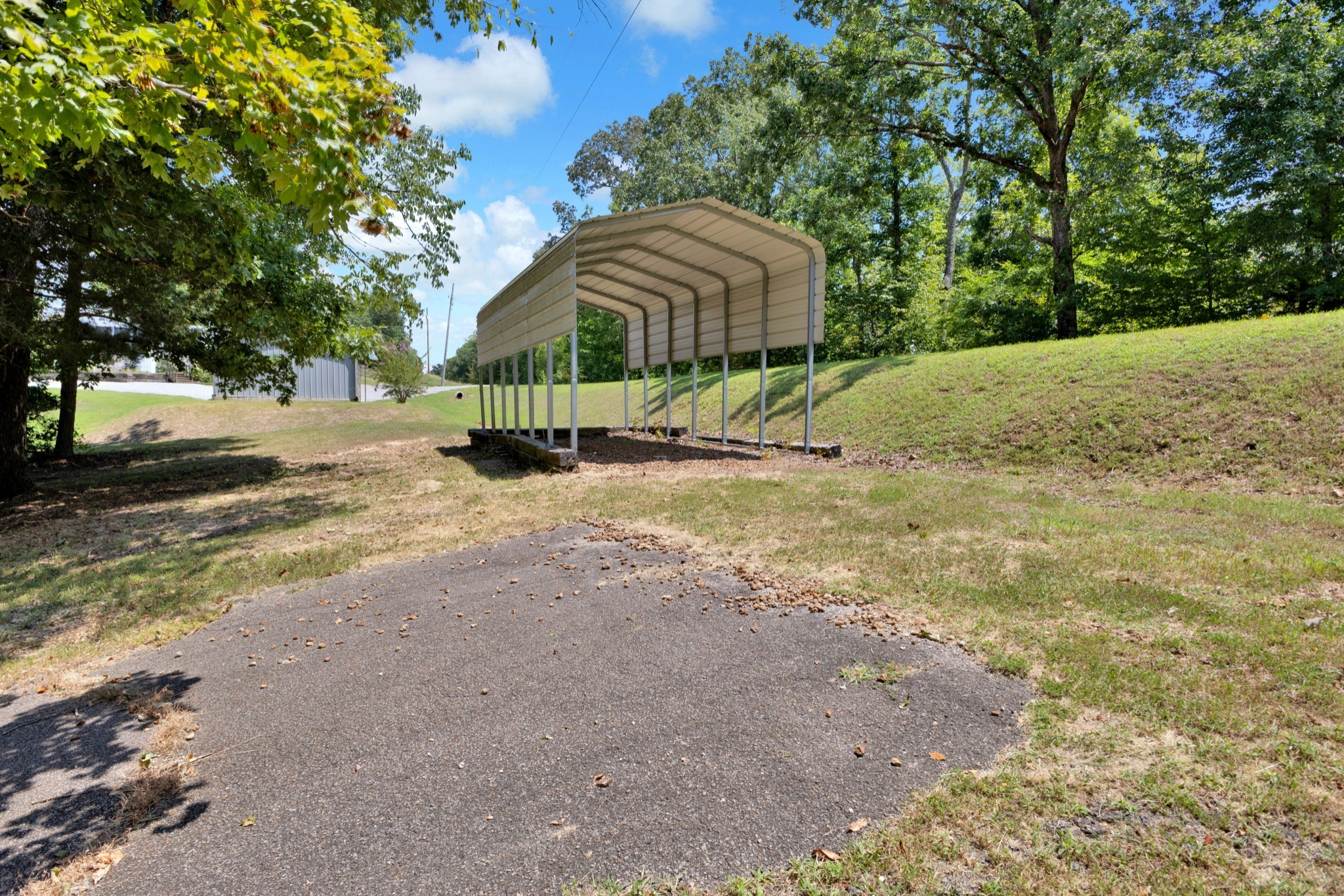123 Lower Roans Creek Road Linden, TN 37096 - Photo 11 of 33 a view of backyard with a garden and trees