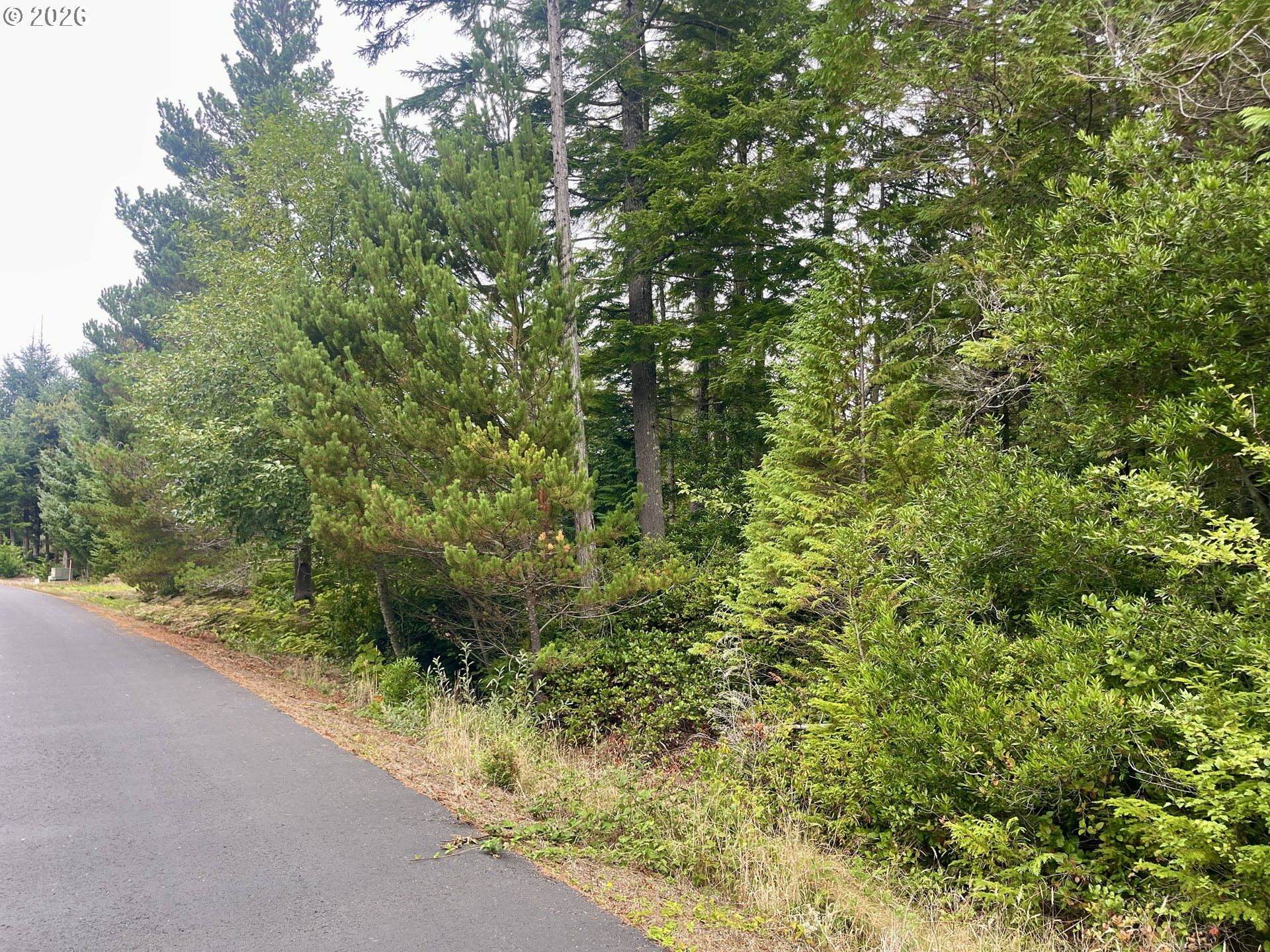 Sandpoint Road North Bend, OR 97459 - Photo 10 of 29 Gallery Image 10