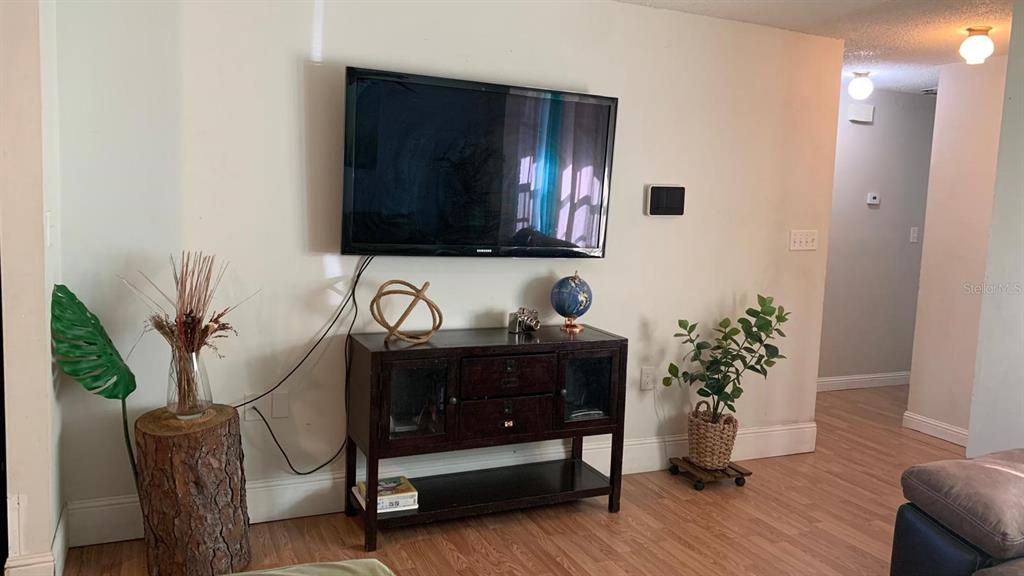 8510 North Campbell Road Lakeland, FL 33810 - Photo 9 of 15 a living room with furniture and potted plant