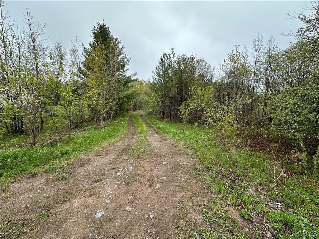 4815 Texas Road Croghan, NY 13619 - Photo 1 of 19