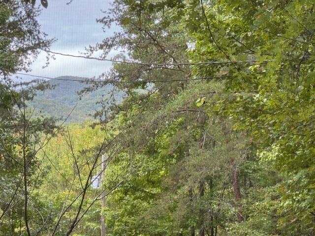 335 Taylor Road Turtletown, TN 37391 - Photo 45 of 55 Gallery Image 45