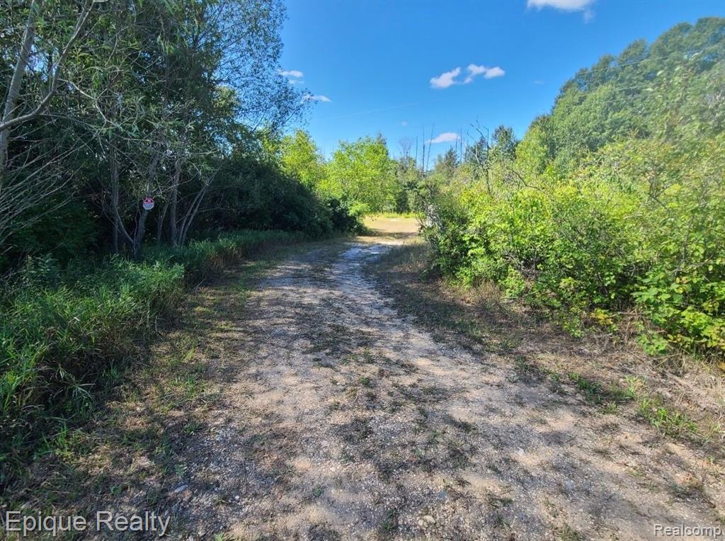 0 Hebron Mail Route Road Cheboygan, MI 49721 - Photo 5 of 16