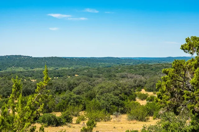 a view of a field with an trees