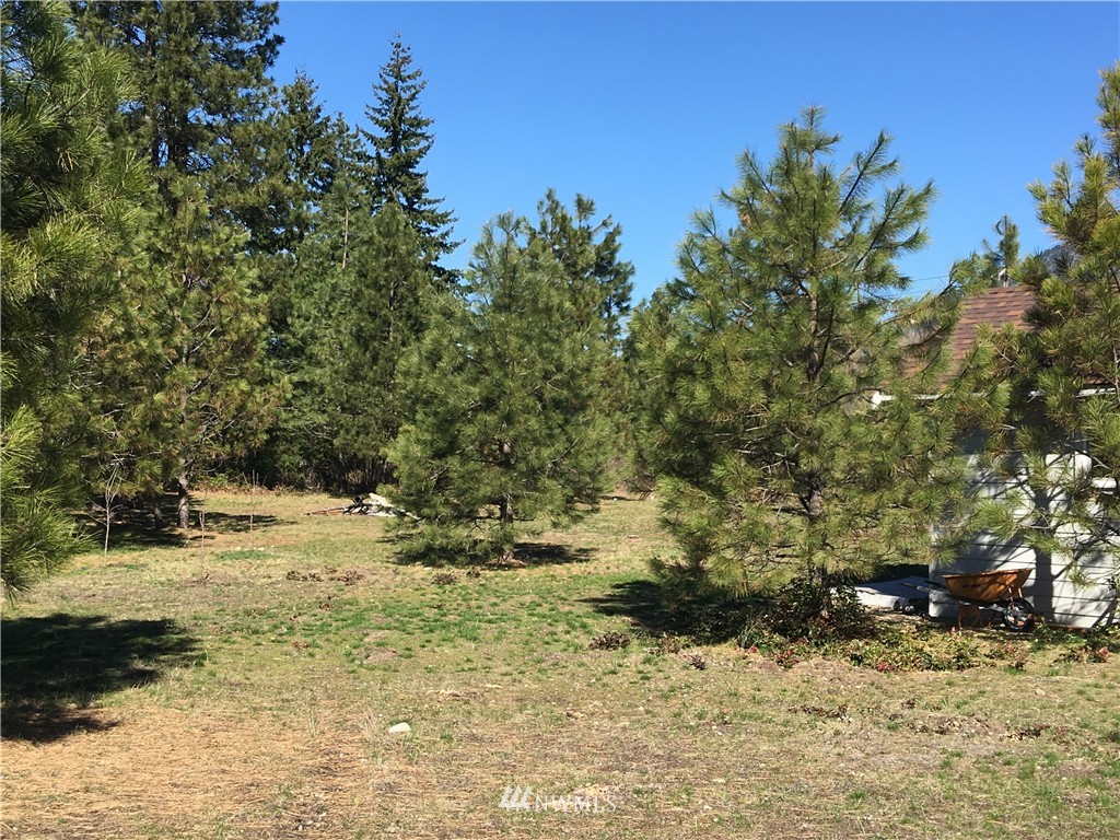 641 Old Cedars Road Cle Elum, WA 98922 - Photo 20 of 20