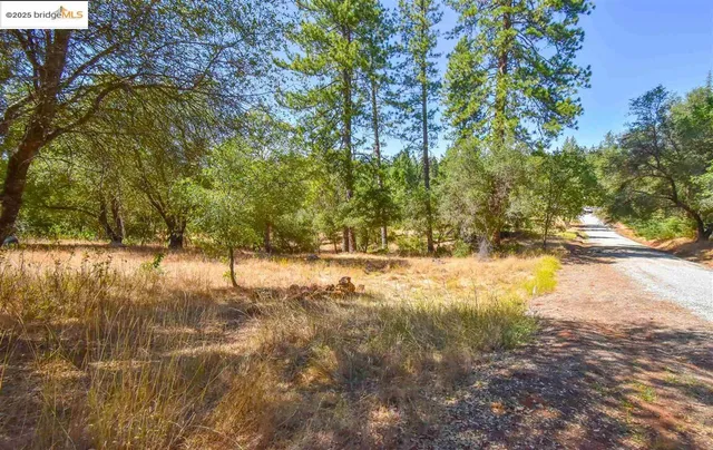 a view of yard covered with snow