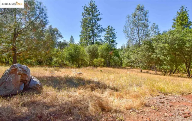 a view of a yard covered in snow