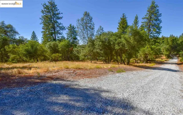 a view of dirt yard with a tree