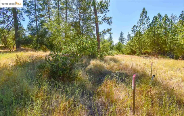 a view of a lake view