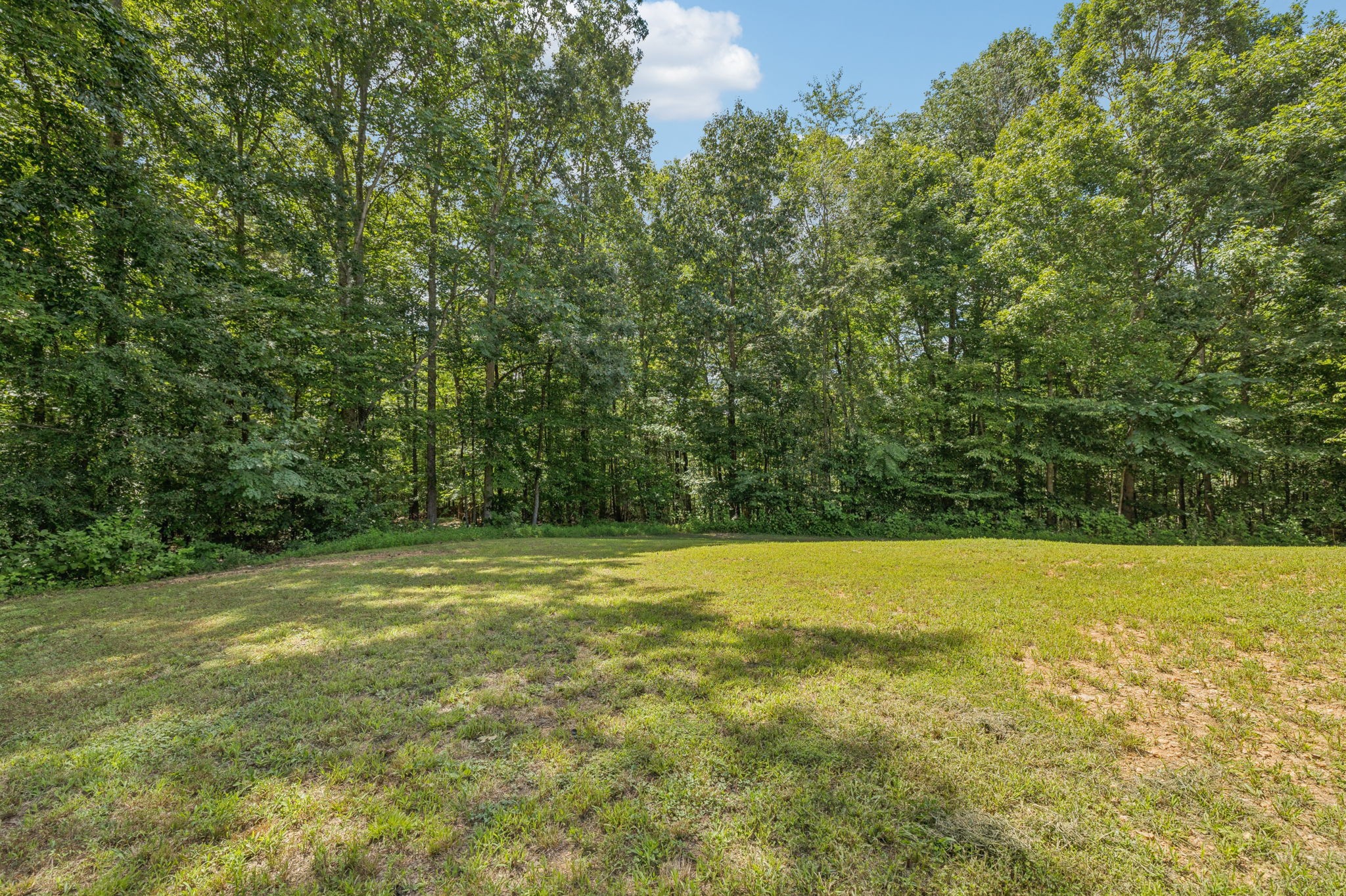 977 Elzie Williams Road Red Boiling Springs, TN 37150 - Photo 50 of 52 a view of a field with an trees