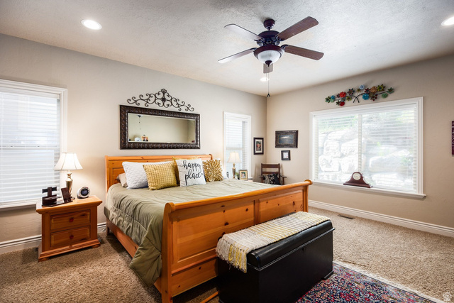 258 Red Leaf Drive Draper, UT 84020 - Photo 15 of 53