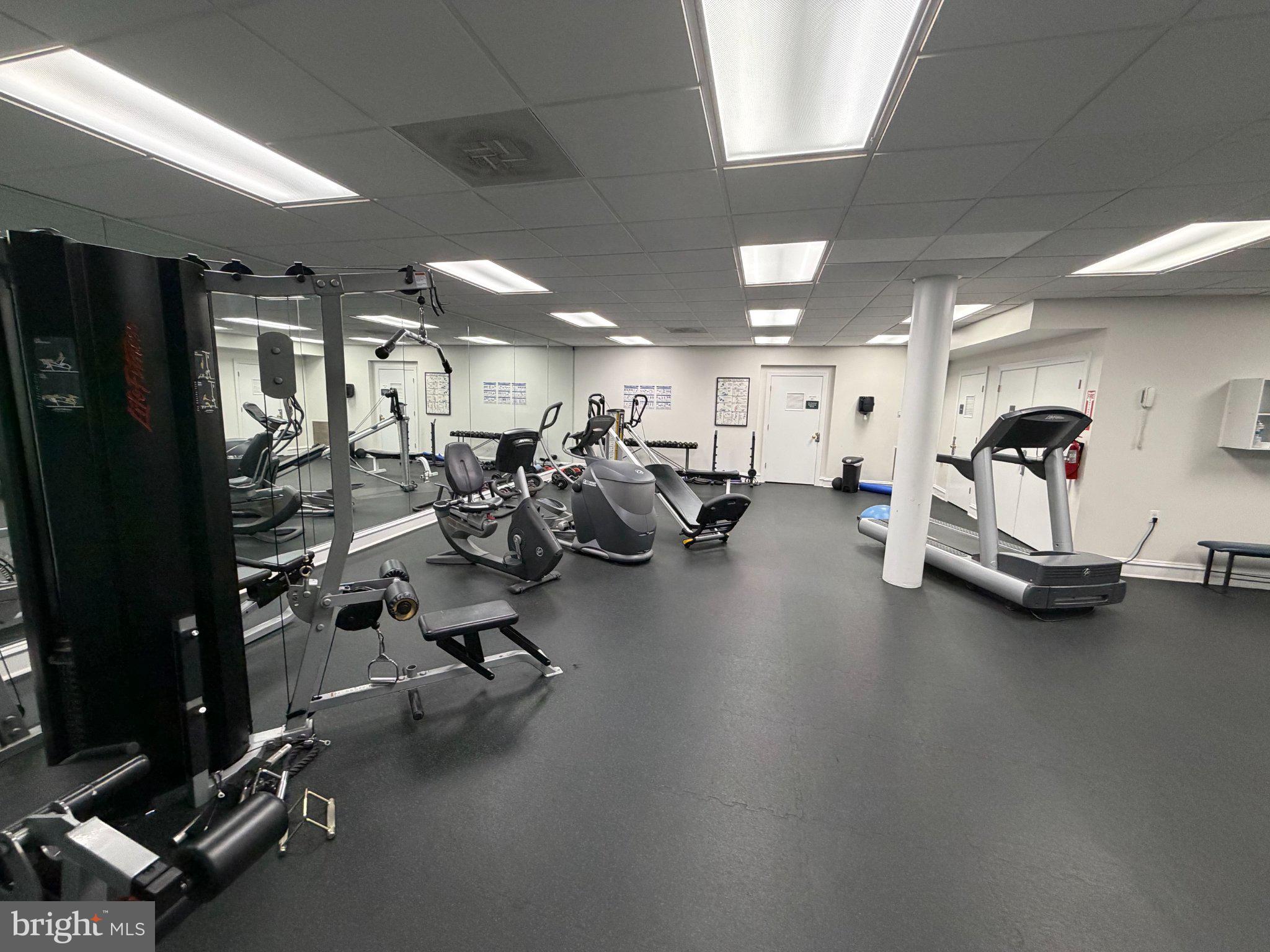 5573 Seminary Road, Unit 114 Falls Church, VA 22041 - Photo 32 of 36 Modern fitness space for active living.