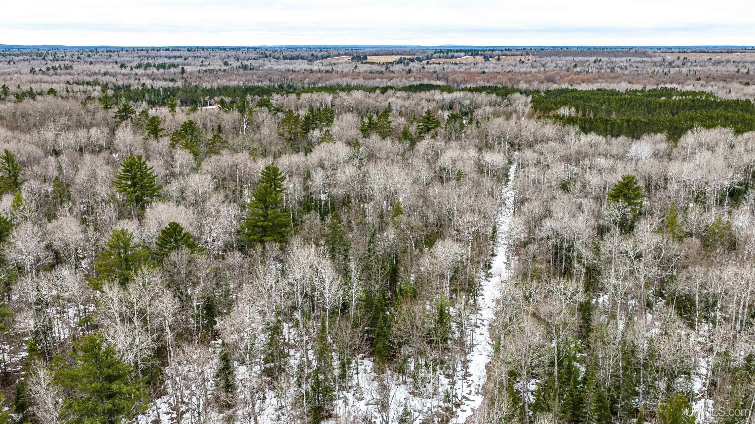 Tbd Off Of Choate Road, Unit NO INSURABLE LEGAL ACCESS Ewen, MI 49925 - Photo 8 of 30