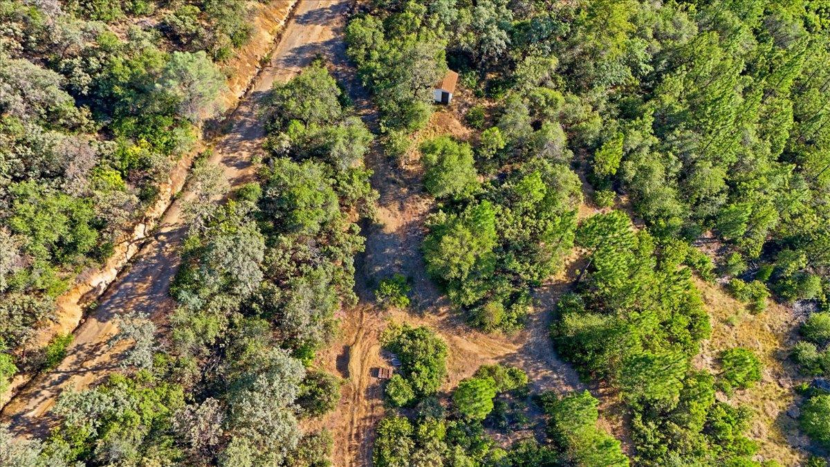 17436 Black Forest Road Penn Valley, CA 95946 - Photo 24 of 36