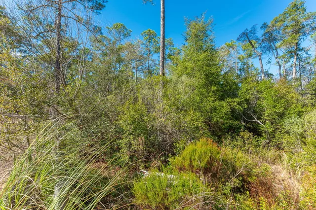 a view of an outdoor space with wooden fence