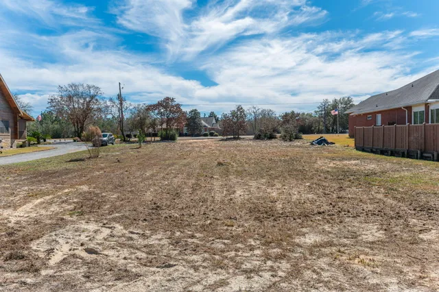 a view of a yard with potted plants